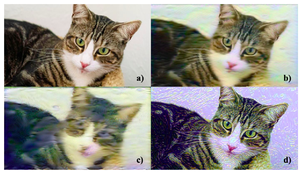 Black-box Adversarial Attacks